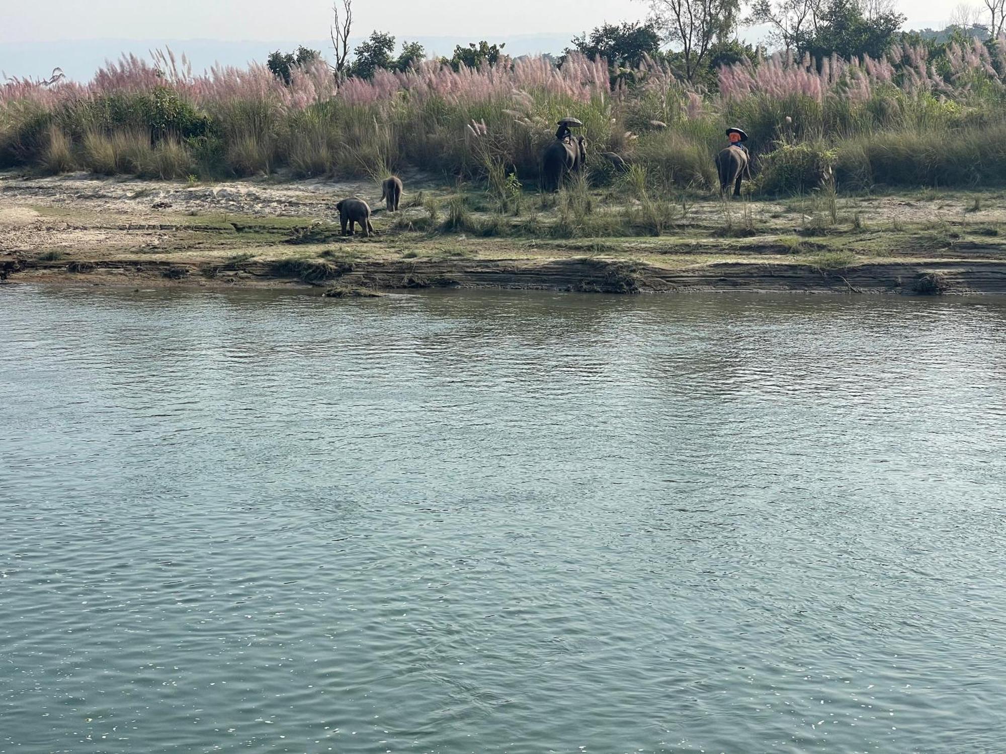 Chitwan Riverside Resort Sauraha Ngoại thất bức ảnh