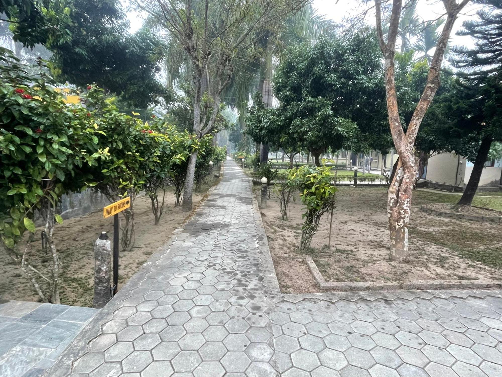 Chitwan Riverside Resort Sauraha Ngoại thất bức ảnh