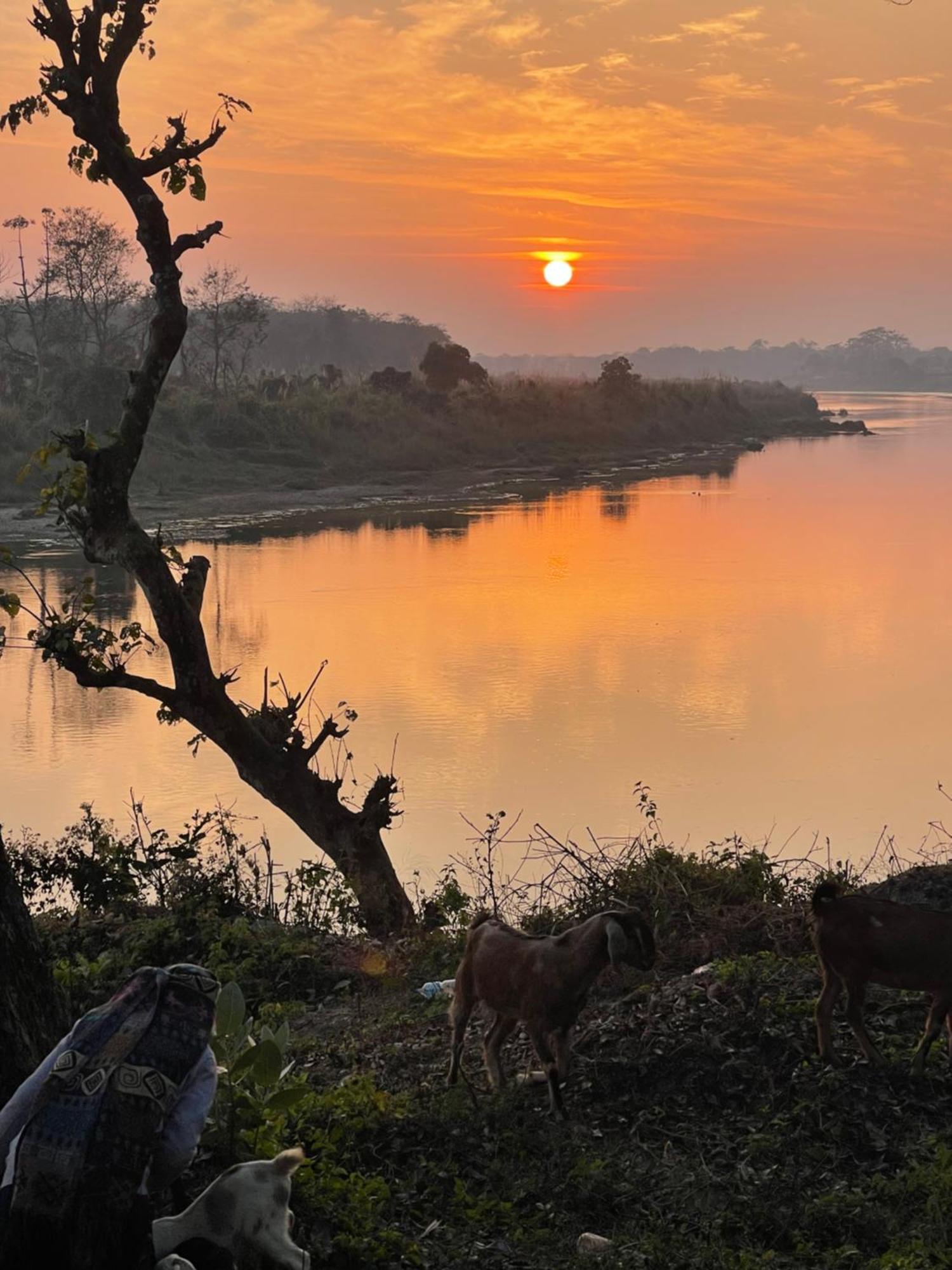 Chitwan Riverside Resort Sauraha Ngoại thất bức ảnh